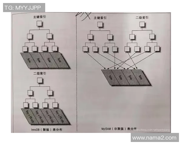奥运会游泳项目技术动作优化策略与训练方法研究 奥运会游泳项目技术动作优化策略与训练方法研究